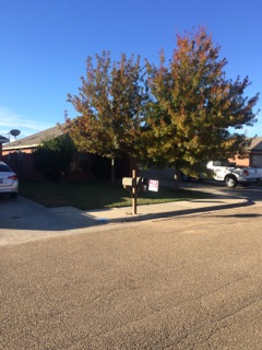 3706 Eagle Crest Dr